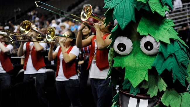 Stanford Tree and marching band